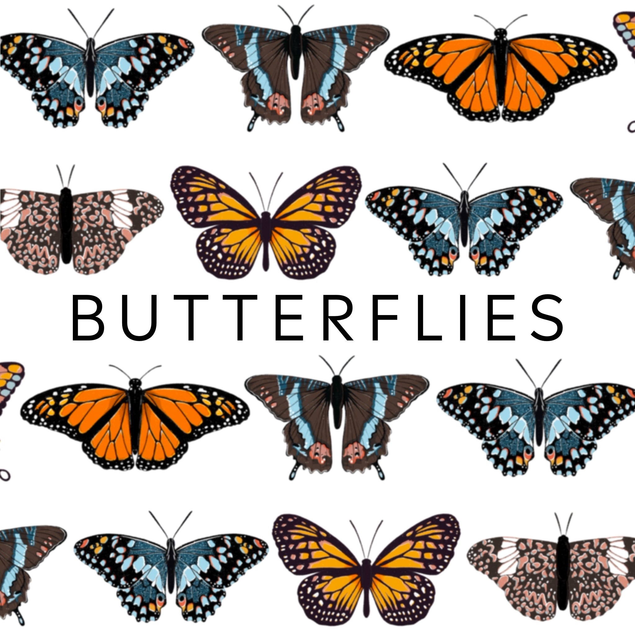 Butterflies
