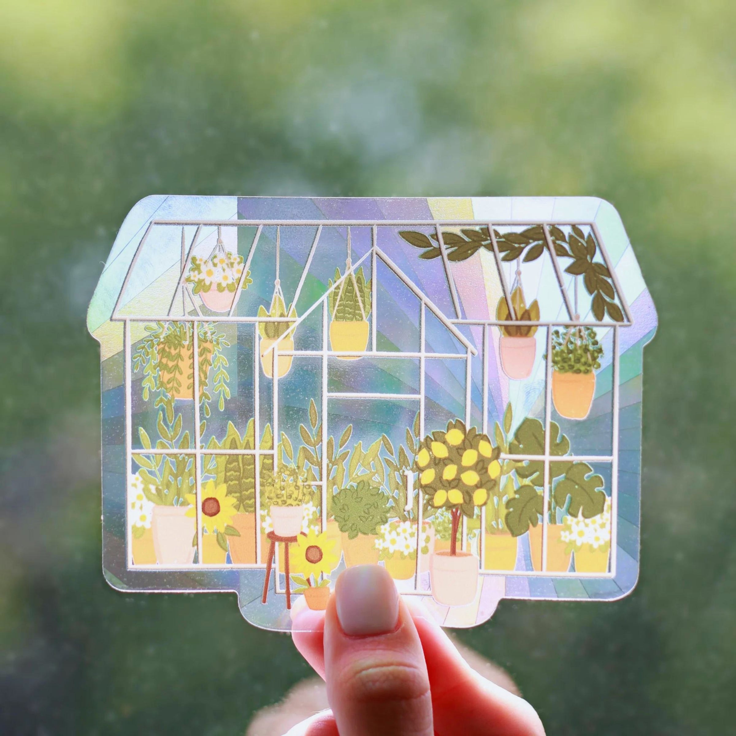 Sun Catchers