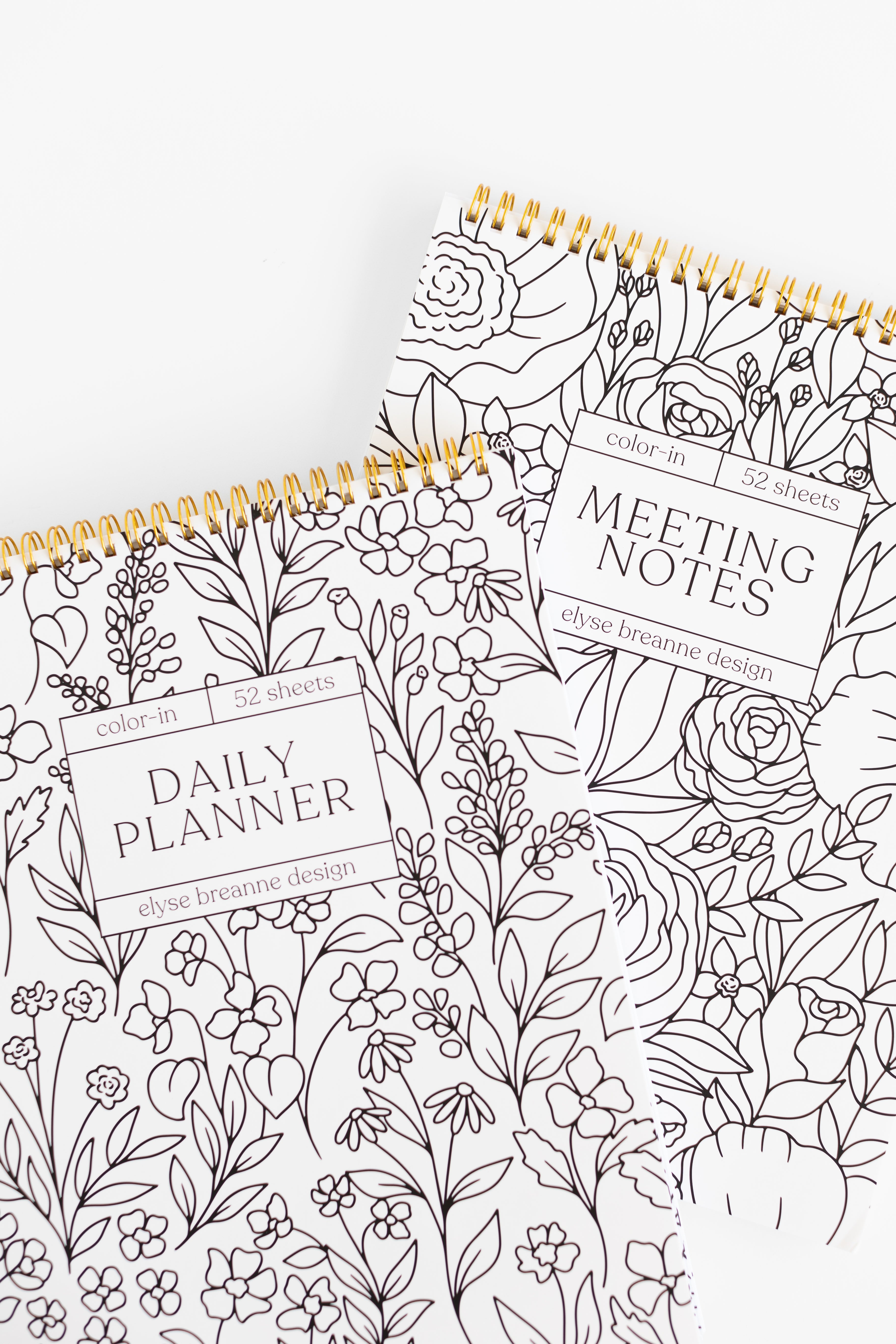 Meeting Notes