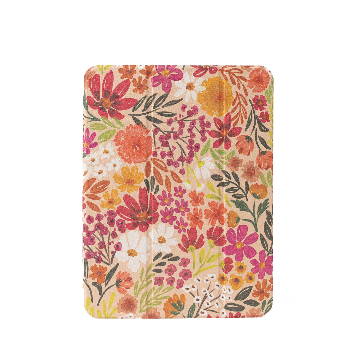 Clear Back iPad Case