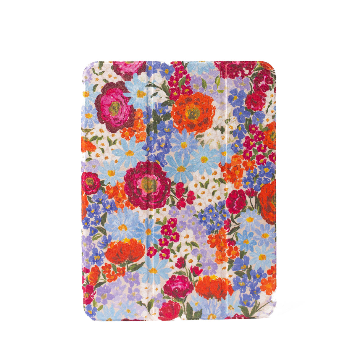 Clear Back iPad Case