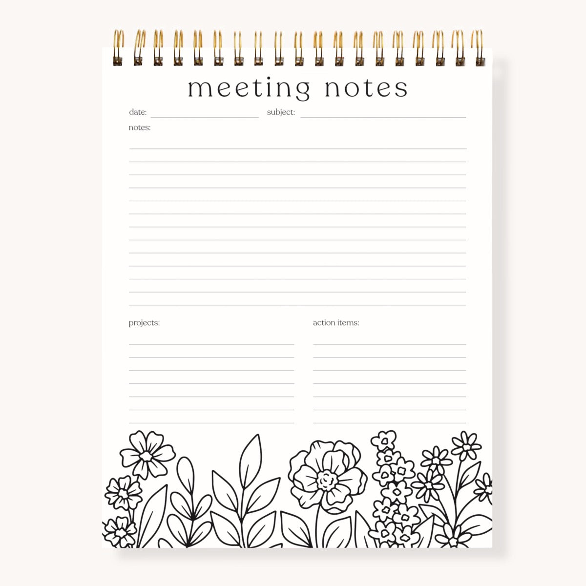 Meeting Notes