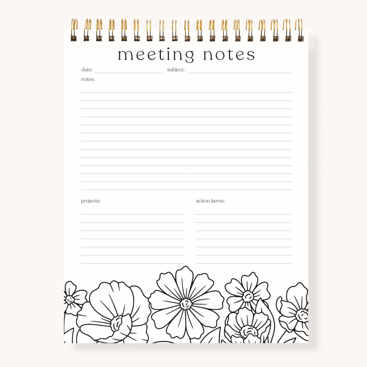 Meeting Notes