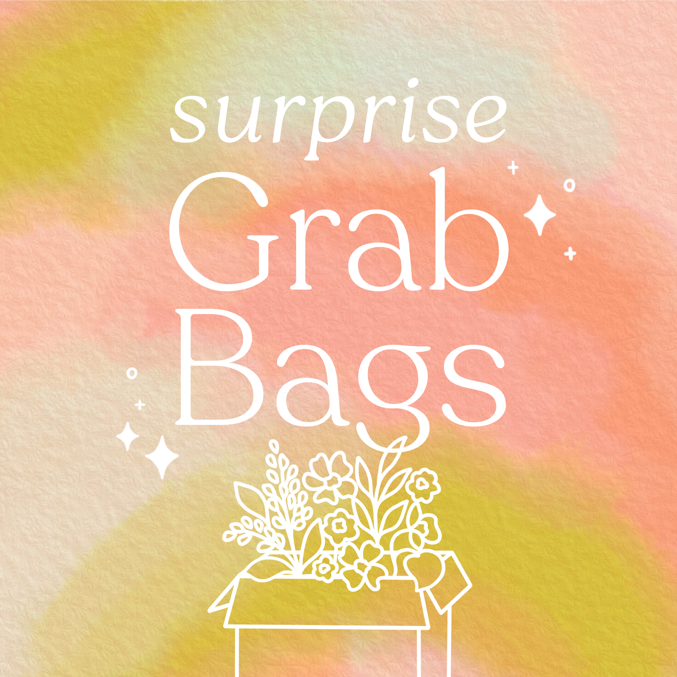 Grab 2025 bag sale