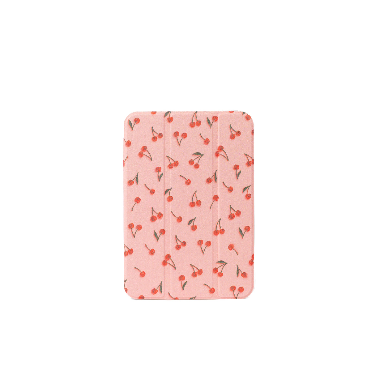 Clear Back iPad Case