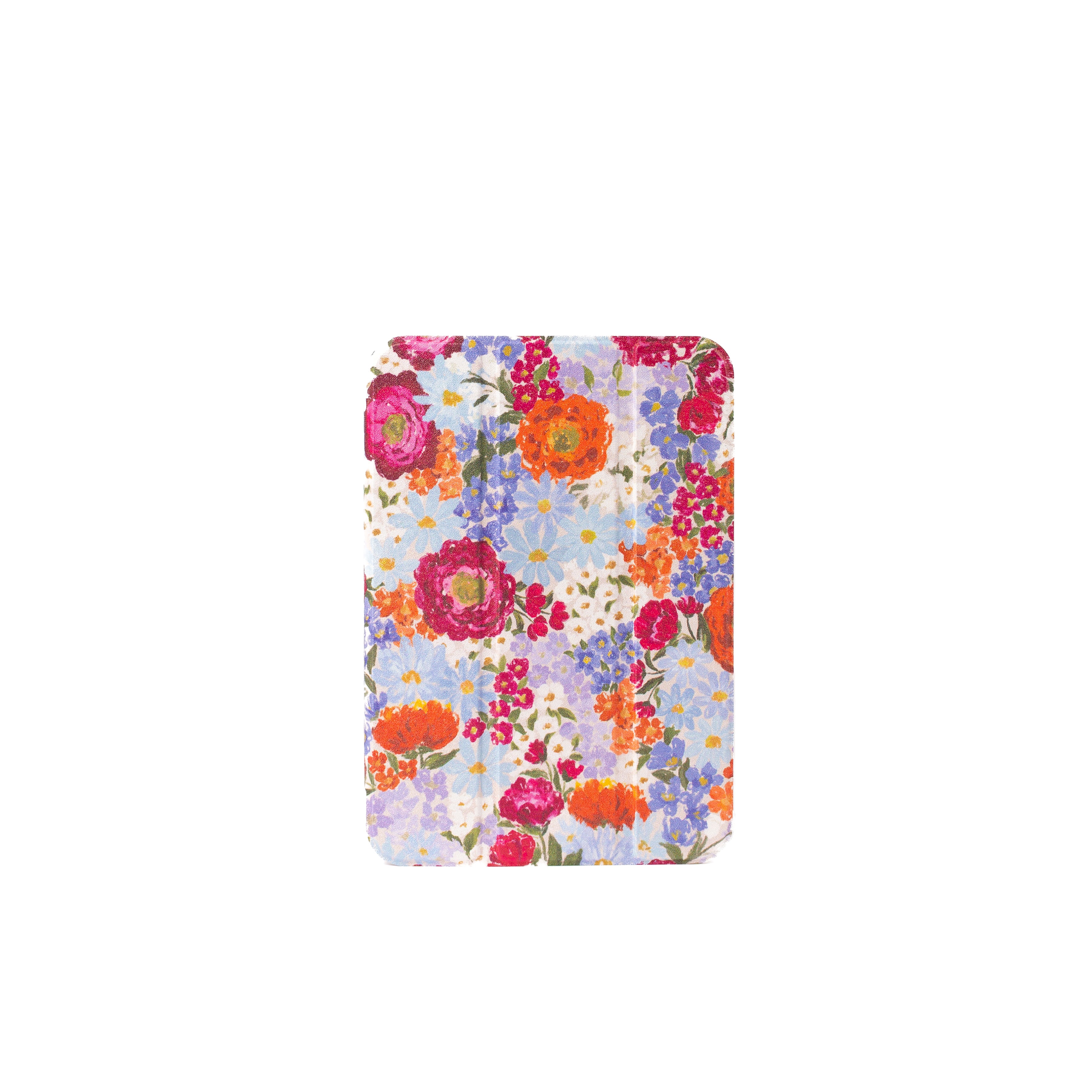 Clear Back iPad Case