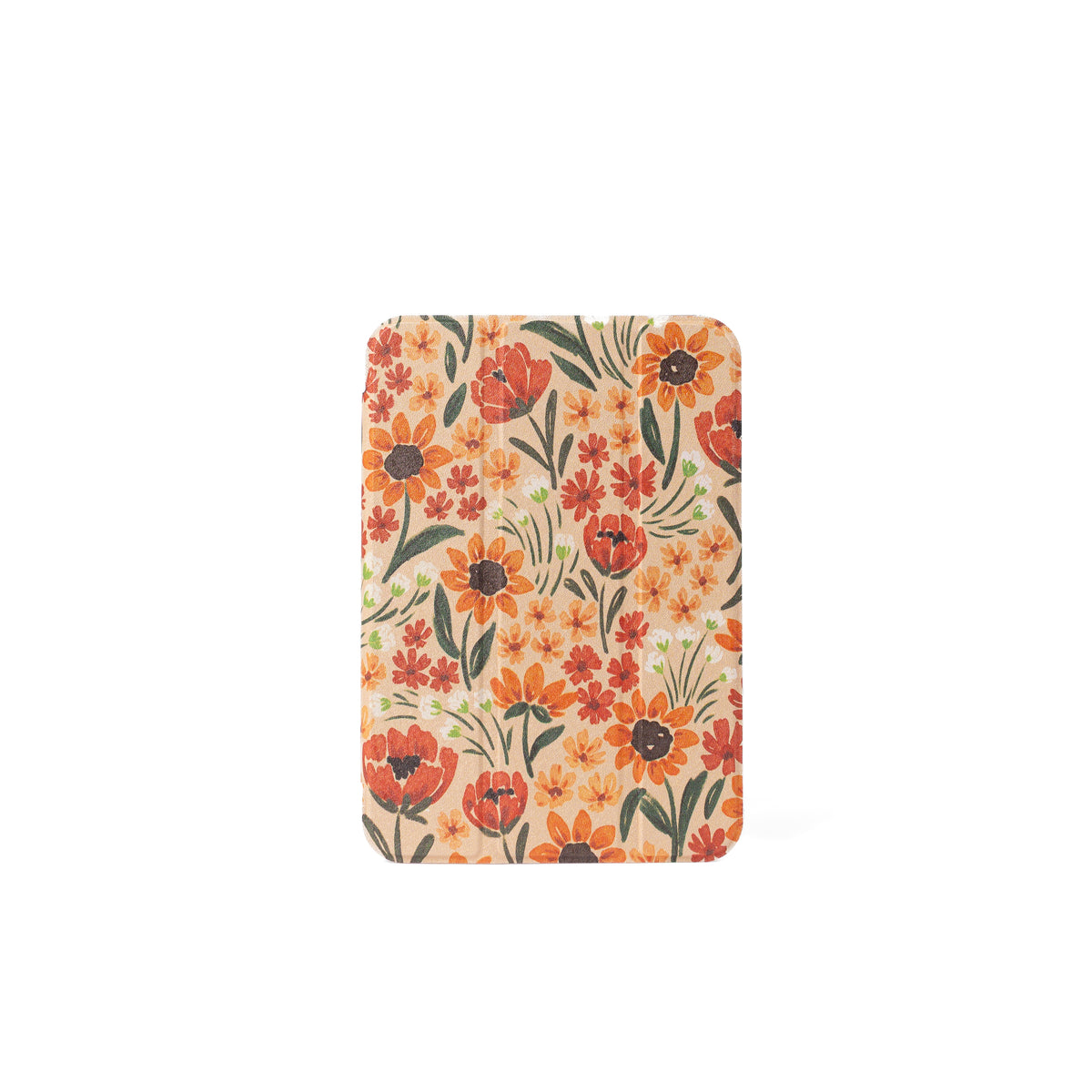 Clear Back iPad Case