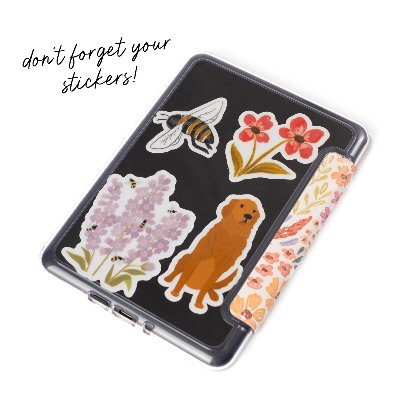 Clear Back Kindle Case