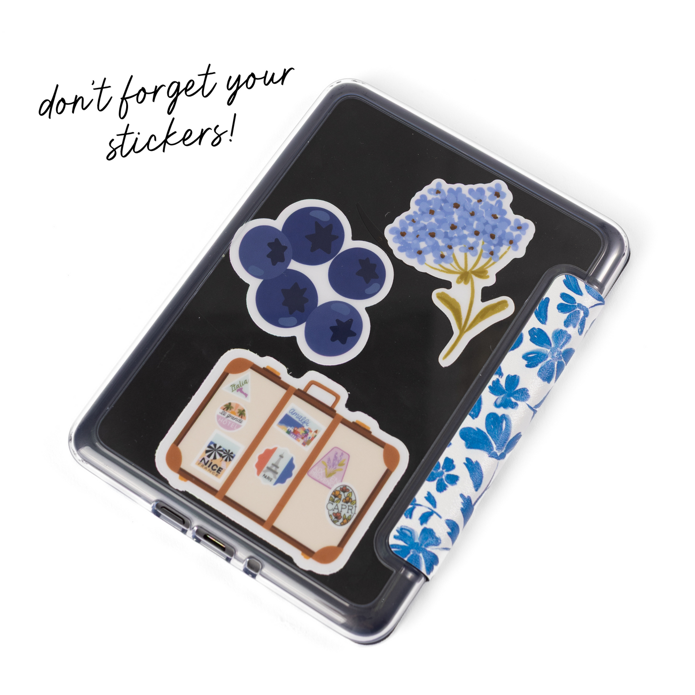 Clear Back Kindle Case