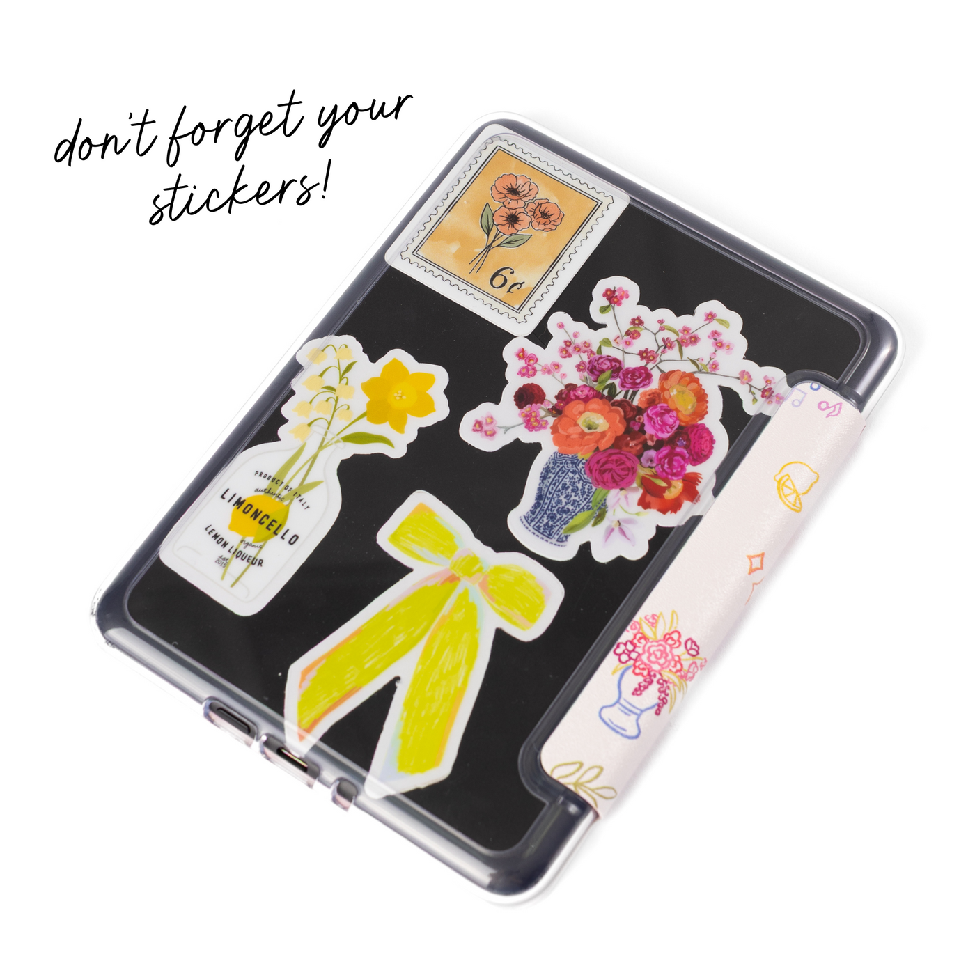 Clear Back Kindle Case