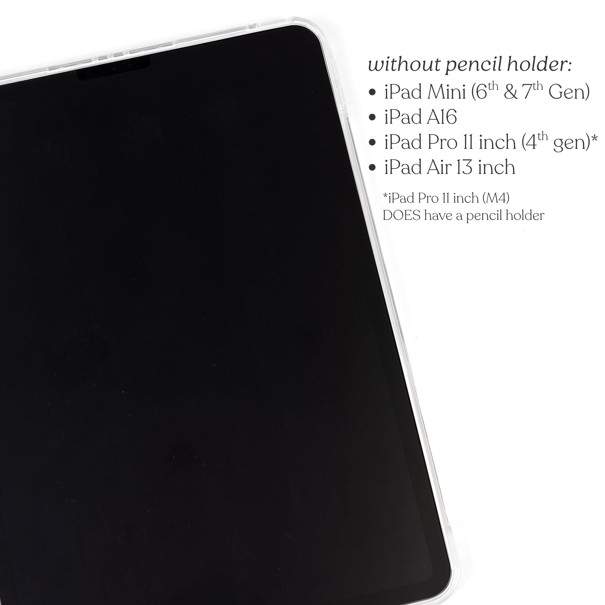 Clear Back iPad Case