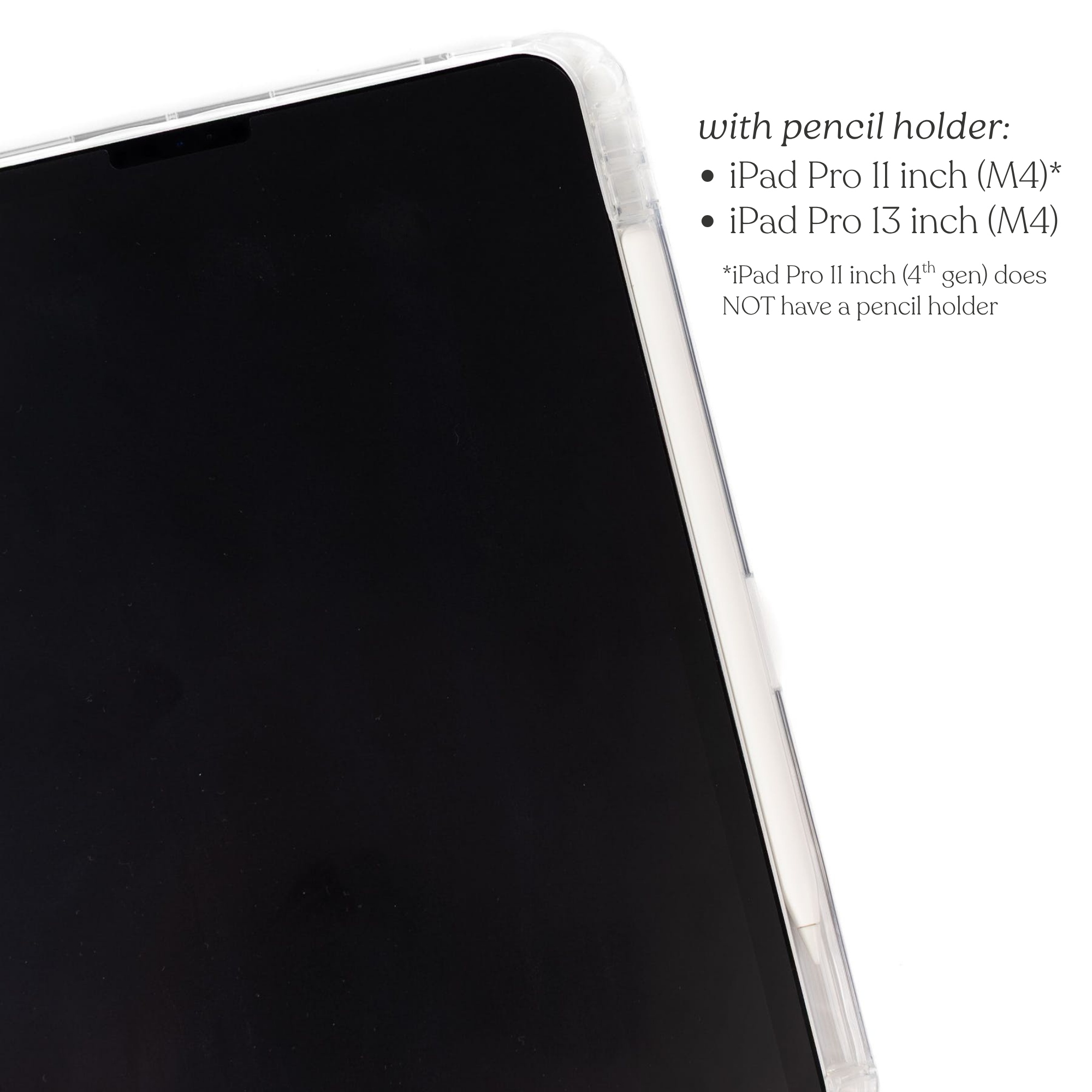 Clear Back iPad Case
