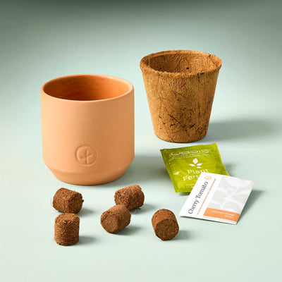 Tiny Terracotta Garden Kit Cherry Tomato