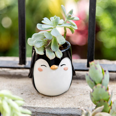 Apa la Papa Ceramic Animal Planter - Penguin