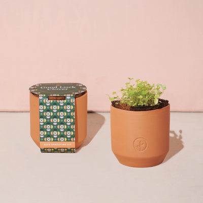 Tiny Terracotta Grow Kit Good Luck Clover