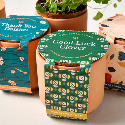 Tiny Terracotta Grow Kit Good Luck Clover