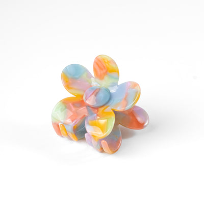 Claw Clip