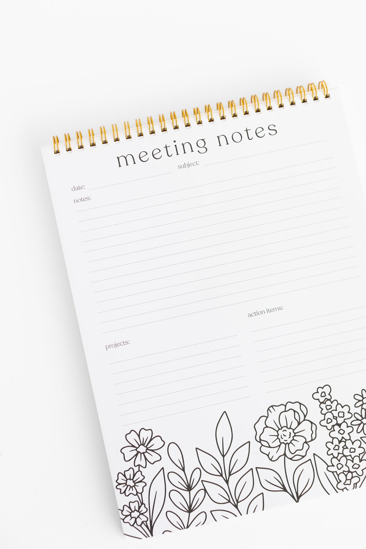Meeting Notes