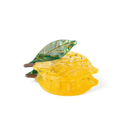 Claw Clip