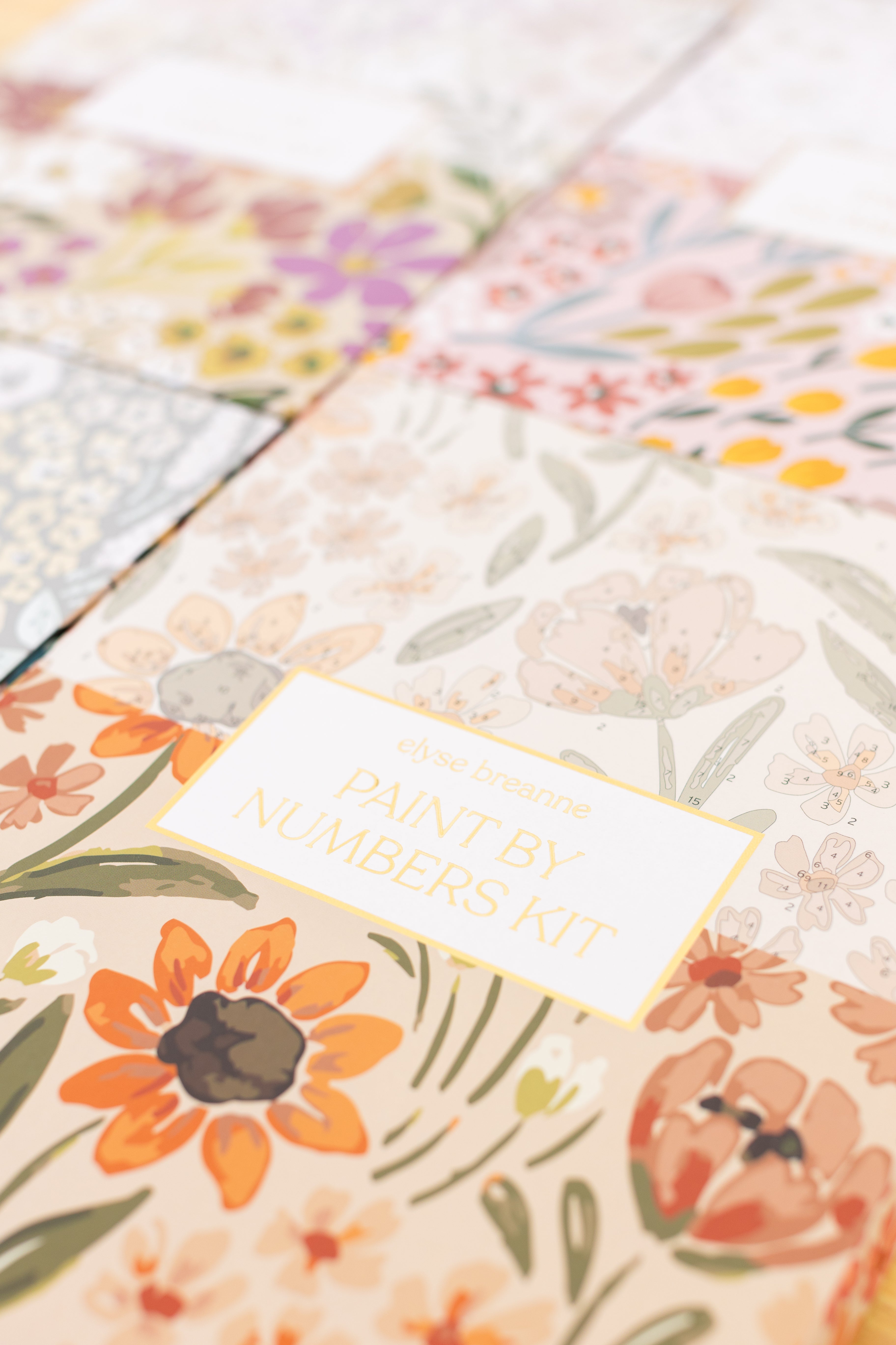 Paint By Number Kit