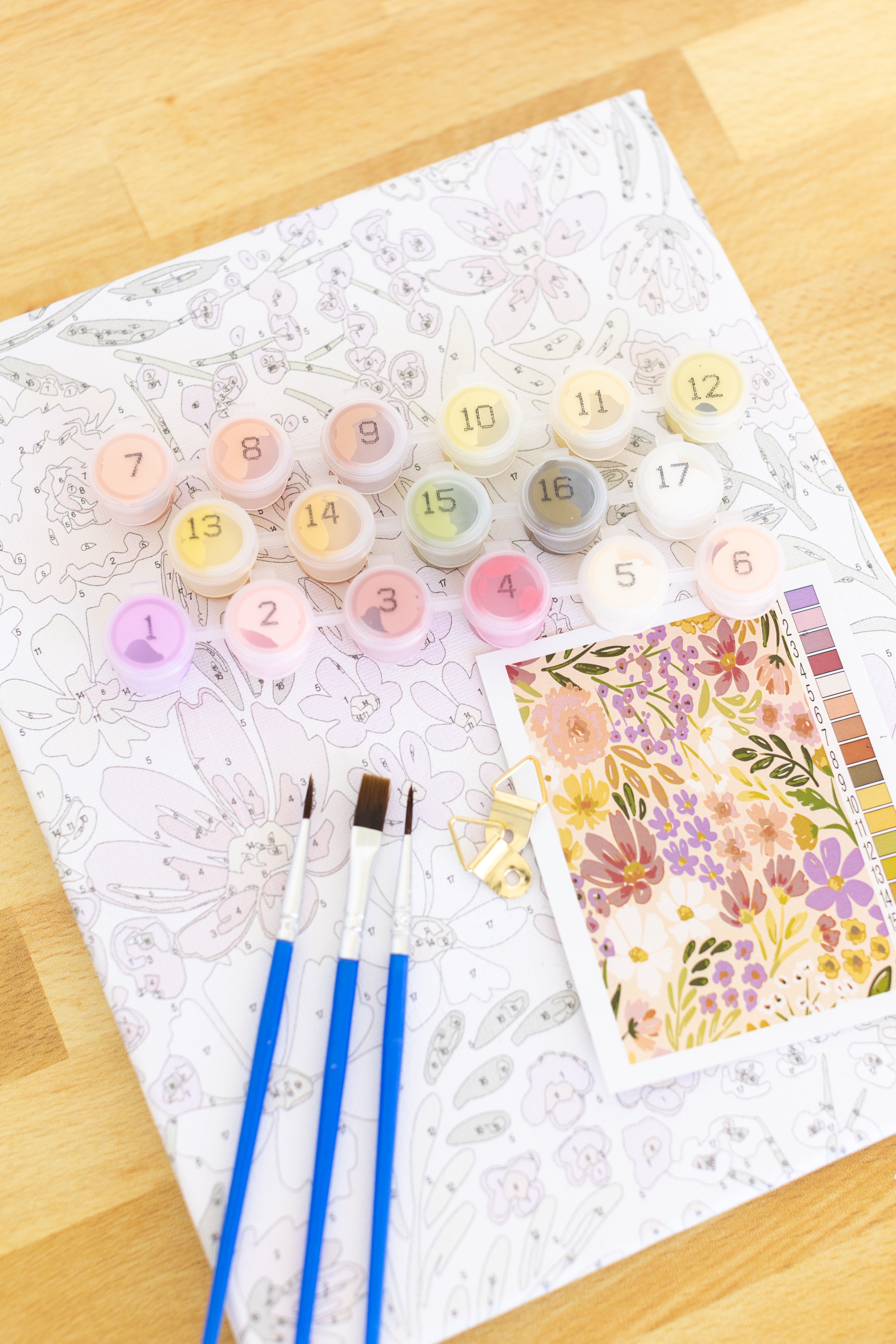 Paint By Number Kit