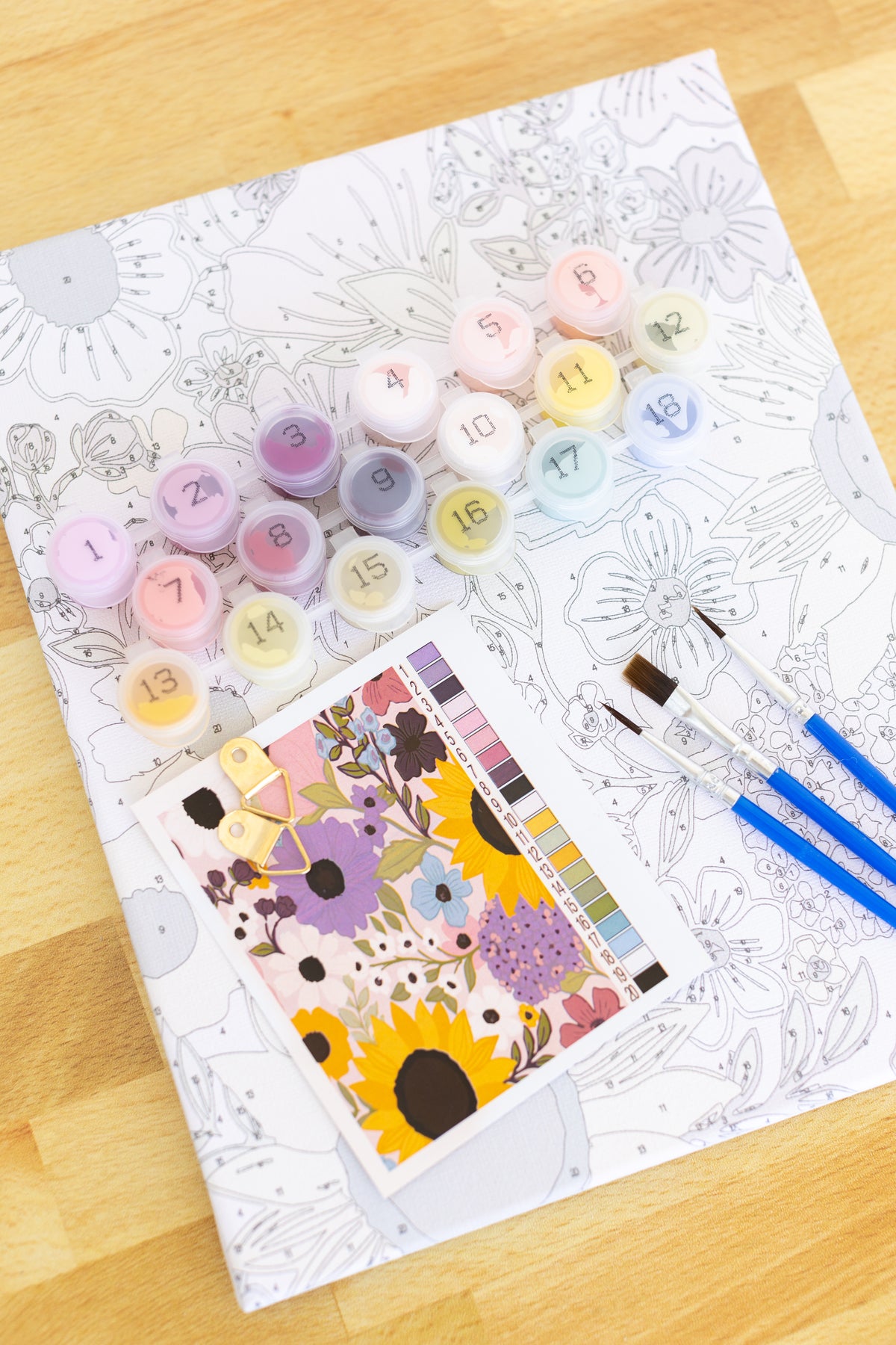 Paint By Number Kit