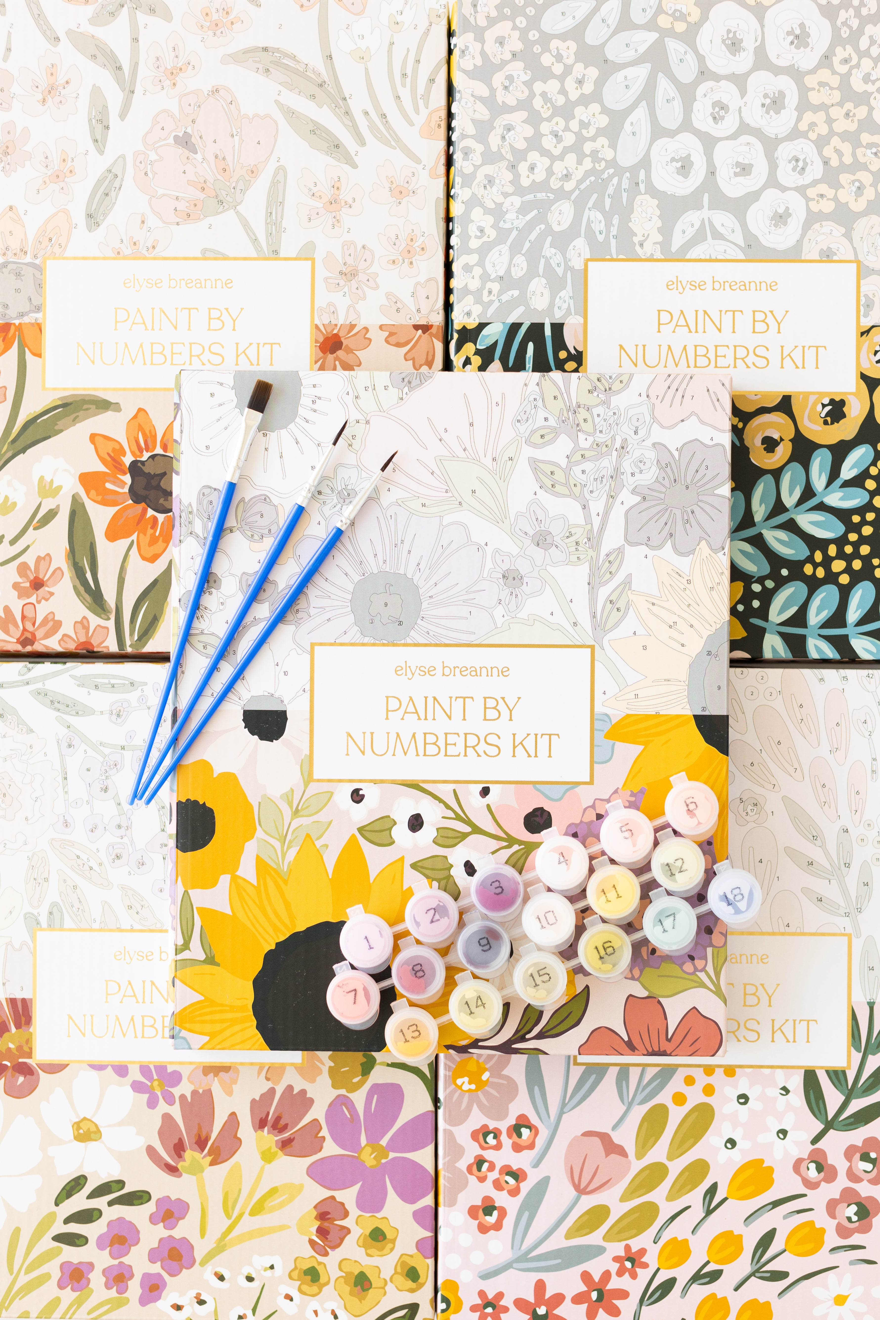 Paint By Number Kit
