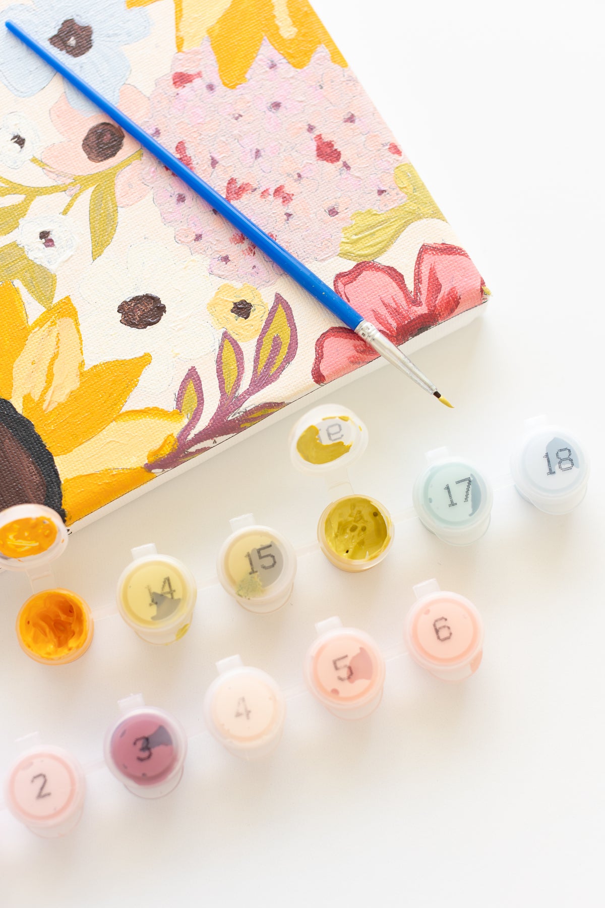 Paint By Number Kit