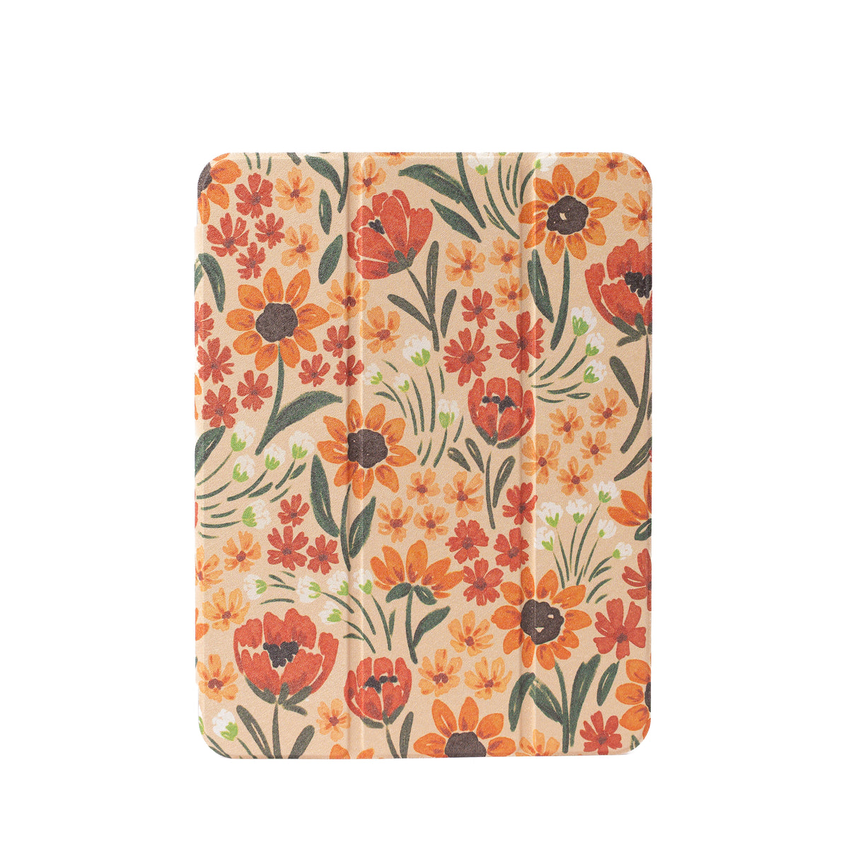 Clear Back iPad Case