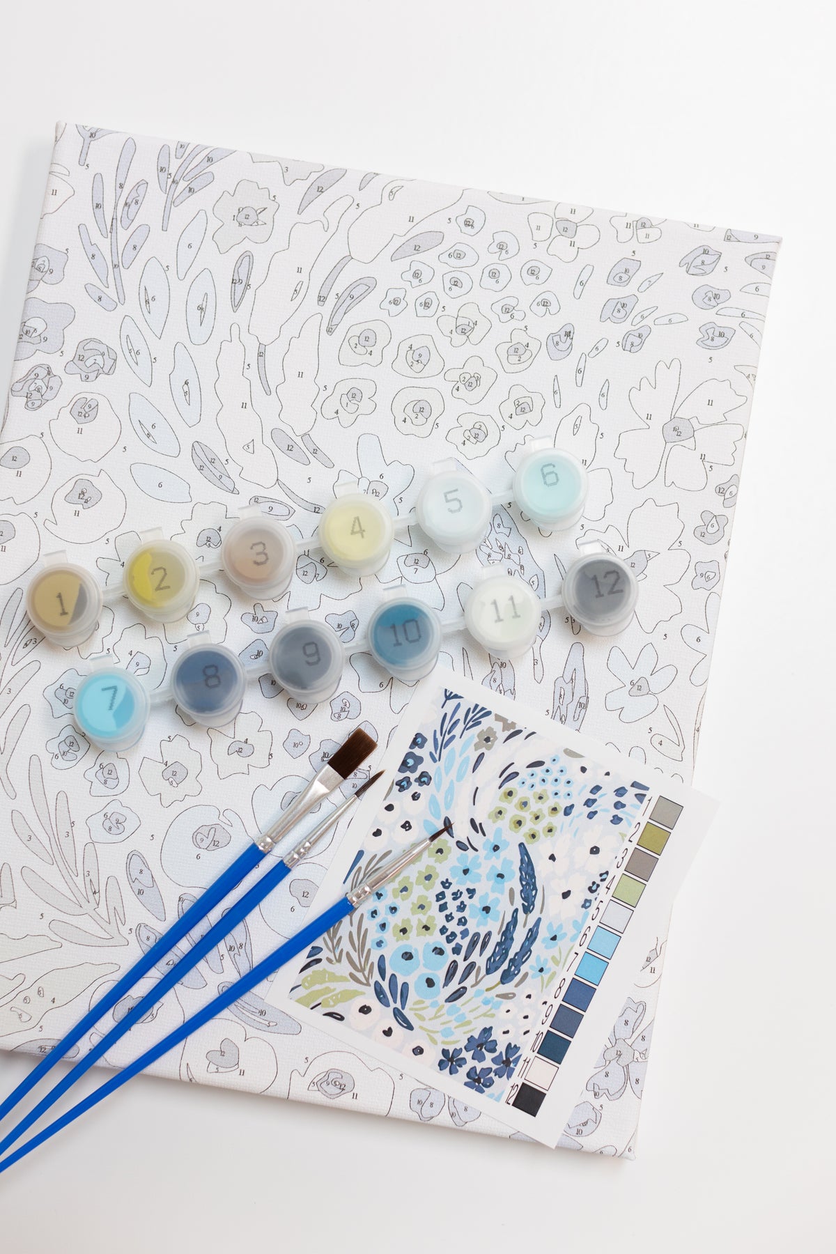 Paint By Number Kit
