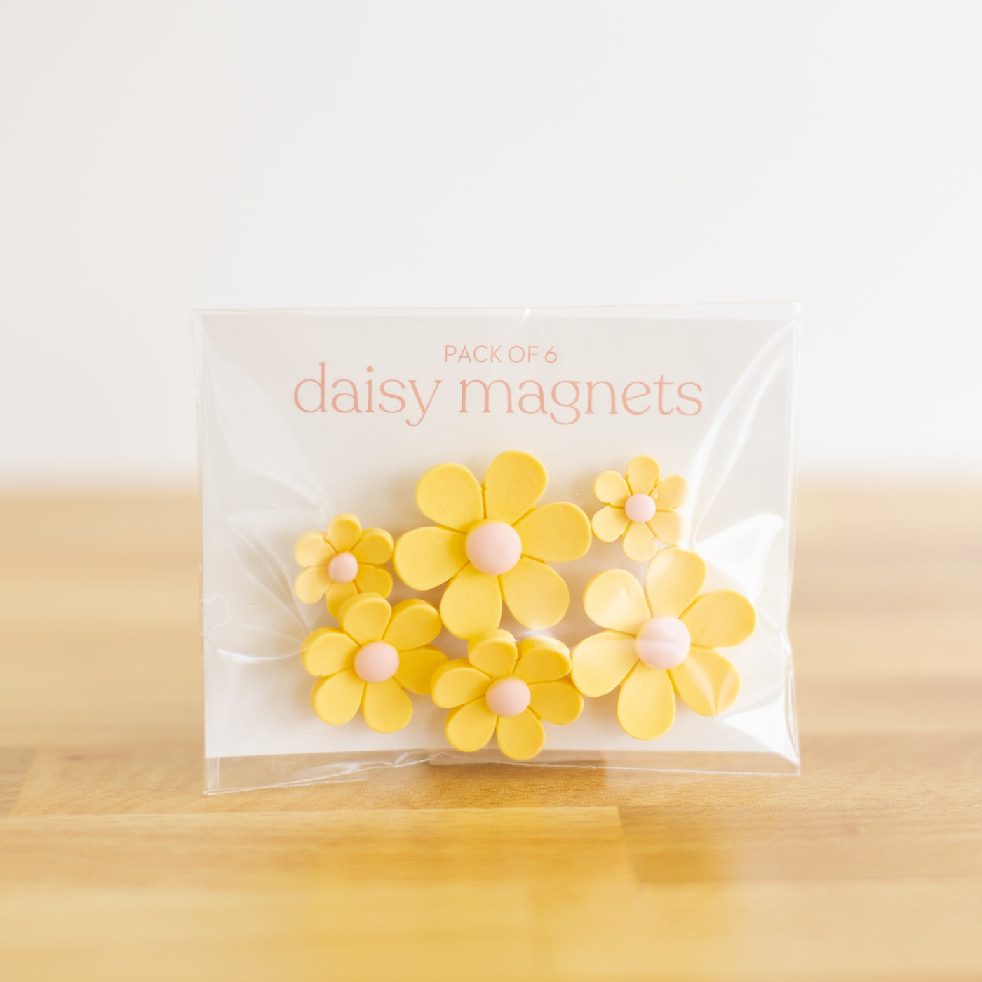 Pack of 6 Daisy Magnets