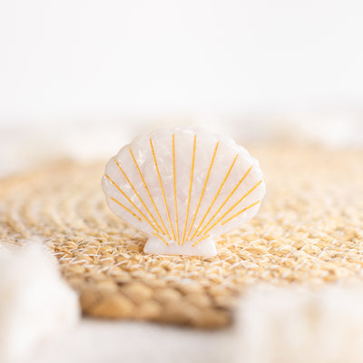 White Sea Shell Claw Clip