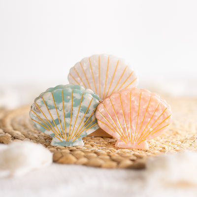Turquoise Sea Shell Claw Clip
