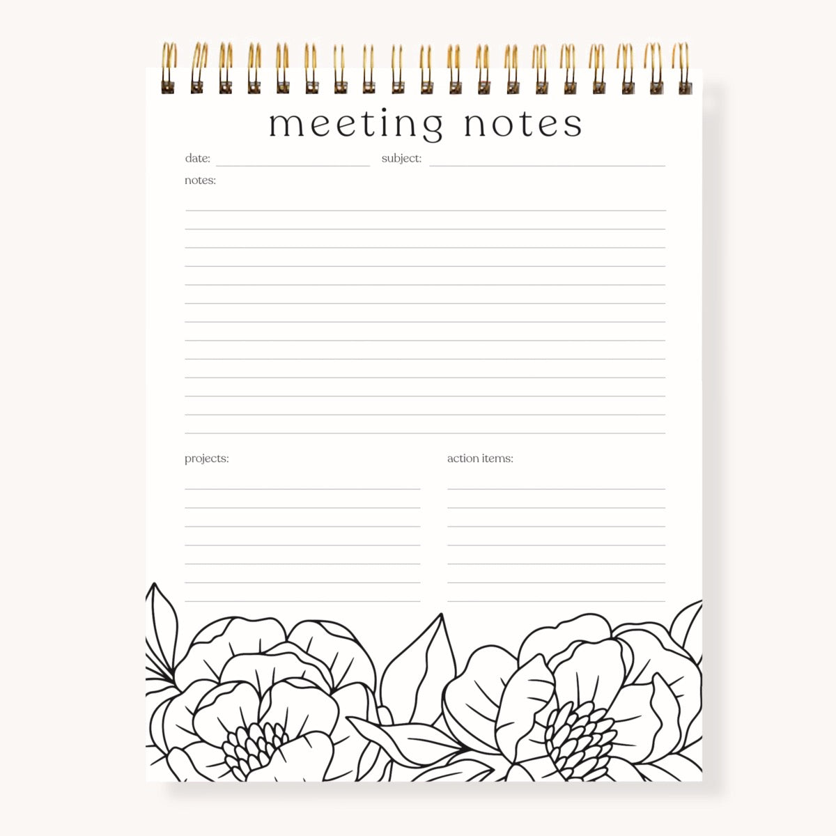 Meeting Notes
