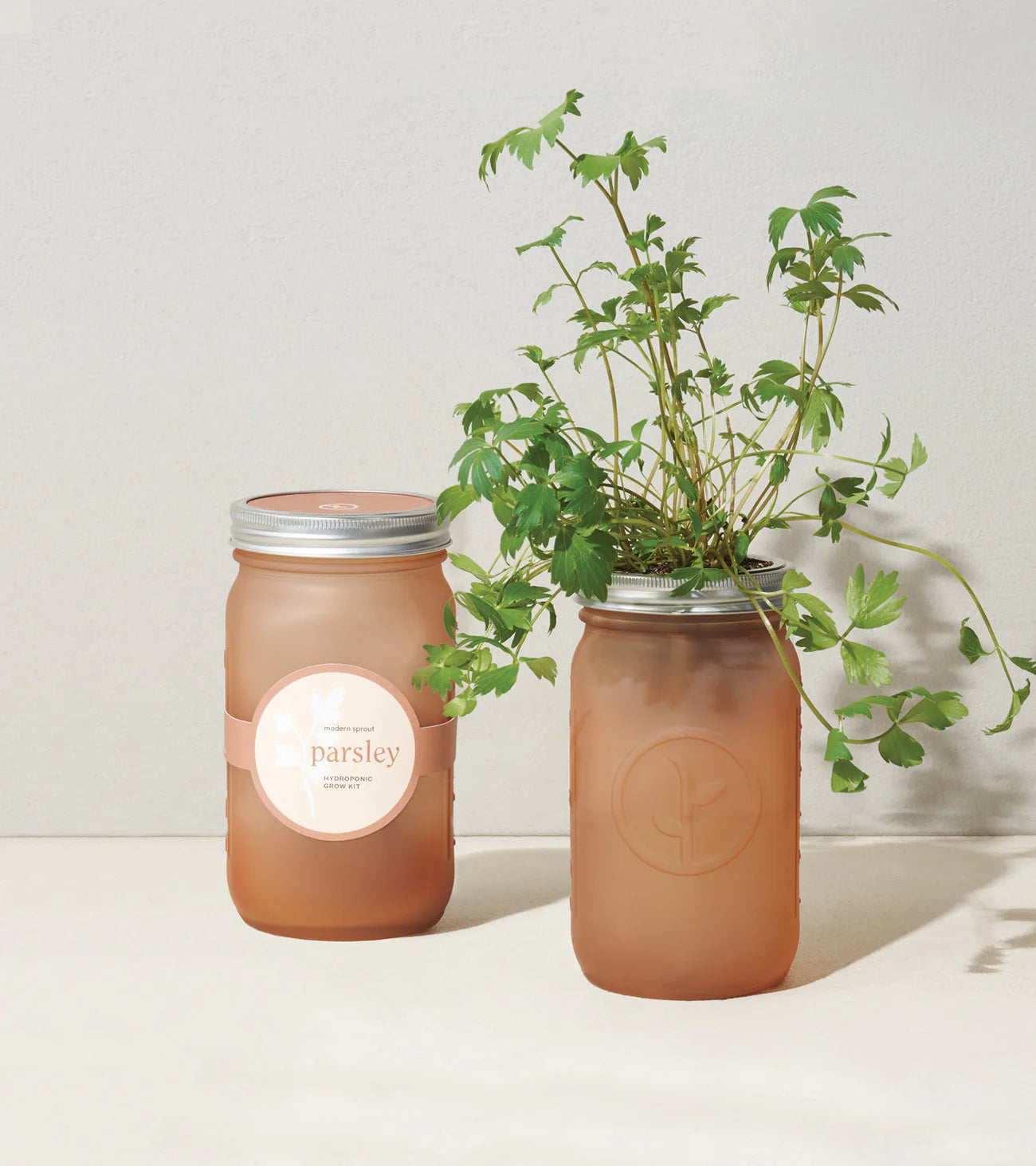 Garden Jar - Parsley