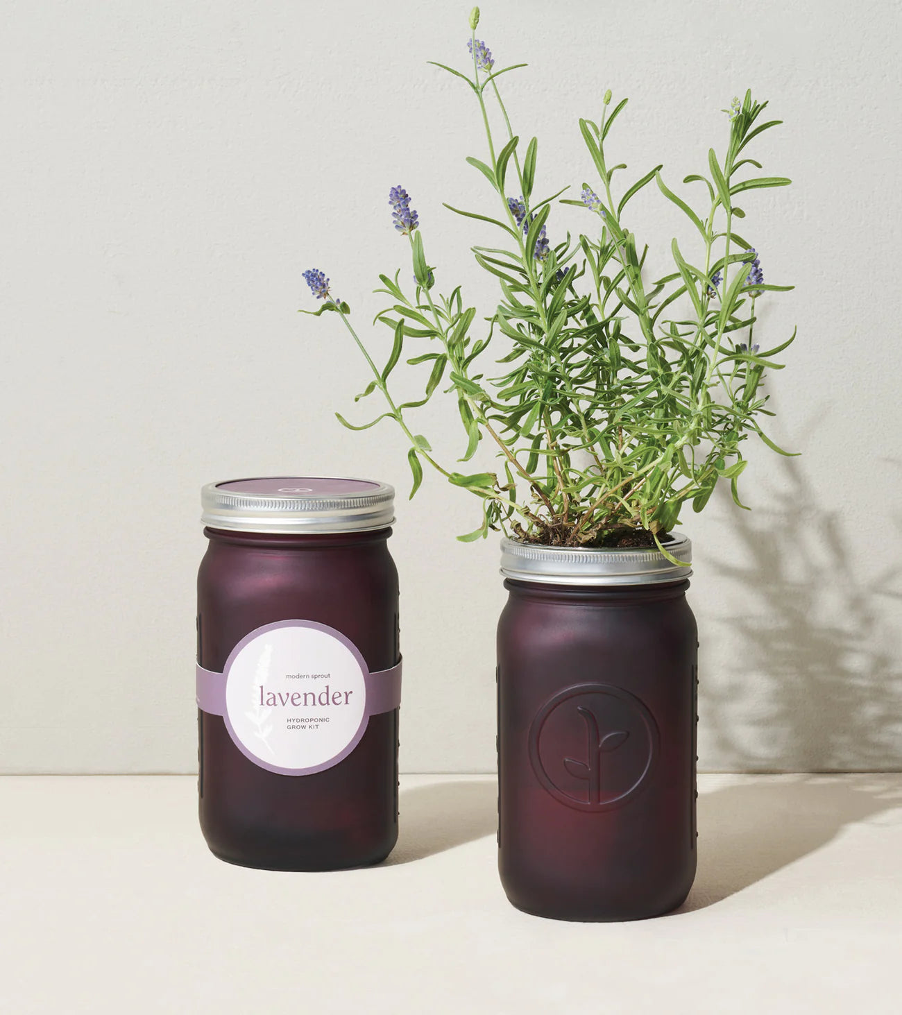 Garden Jar - Lavender