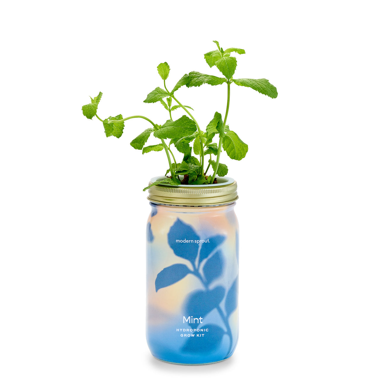 Garden Jar - Mint