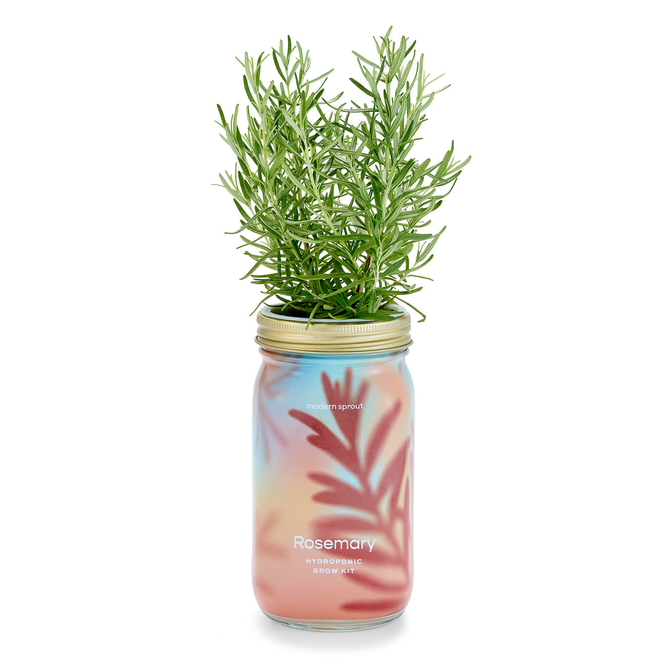 Garden Jar - Rosemary