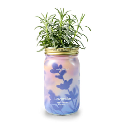 Garden Jar - Lavender