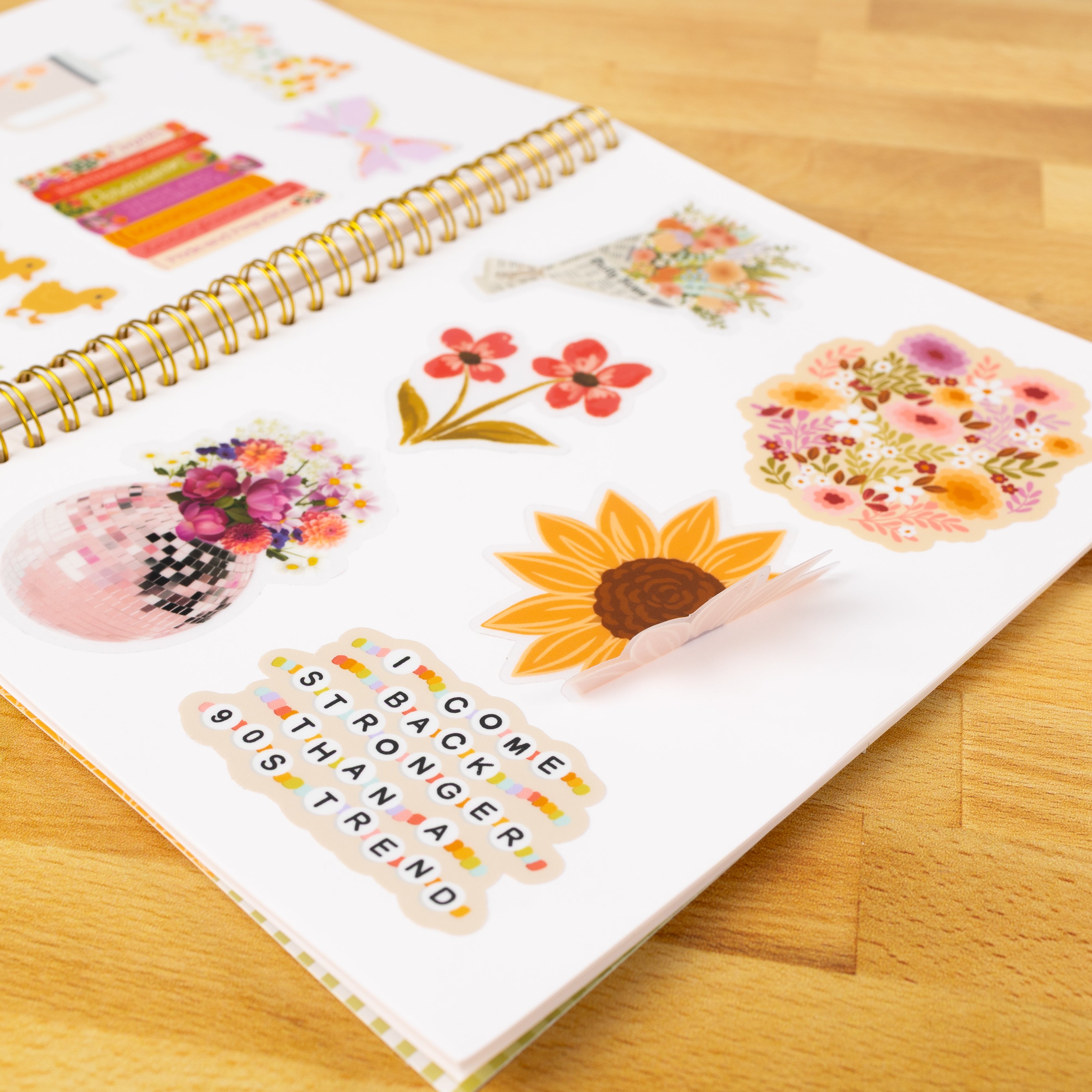 Sticker Book