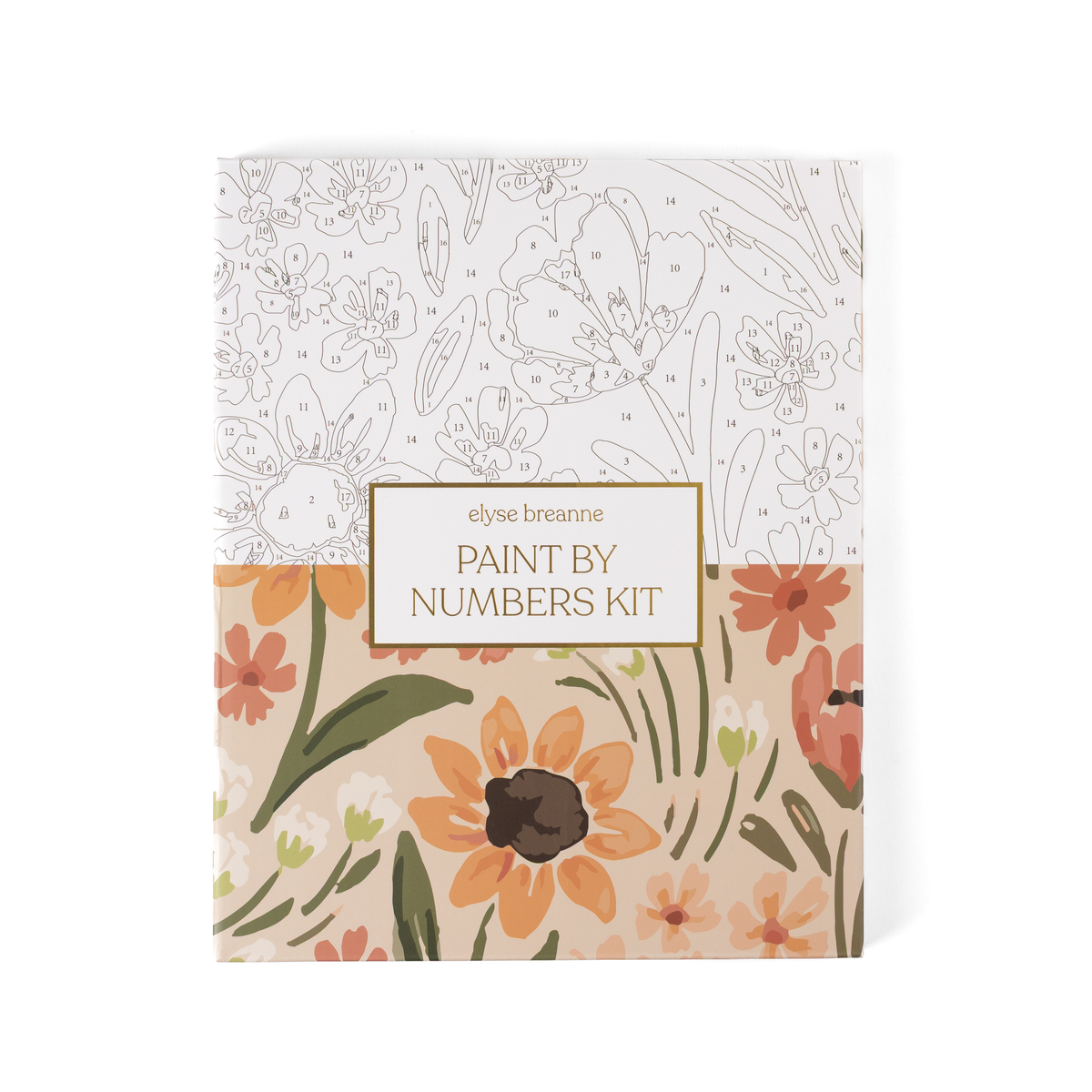 Paint By Number Kit