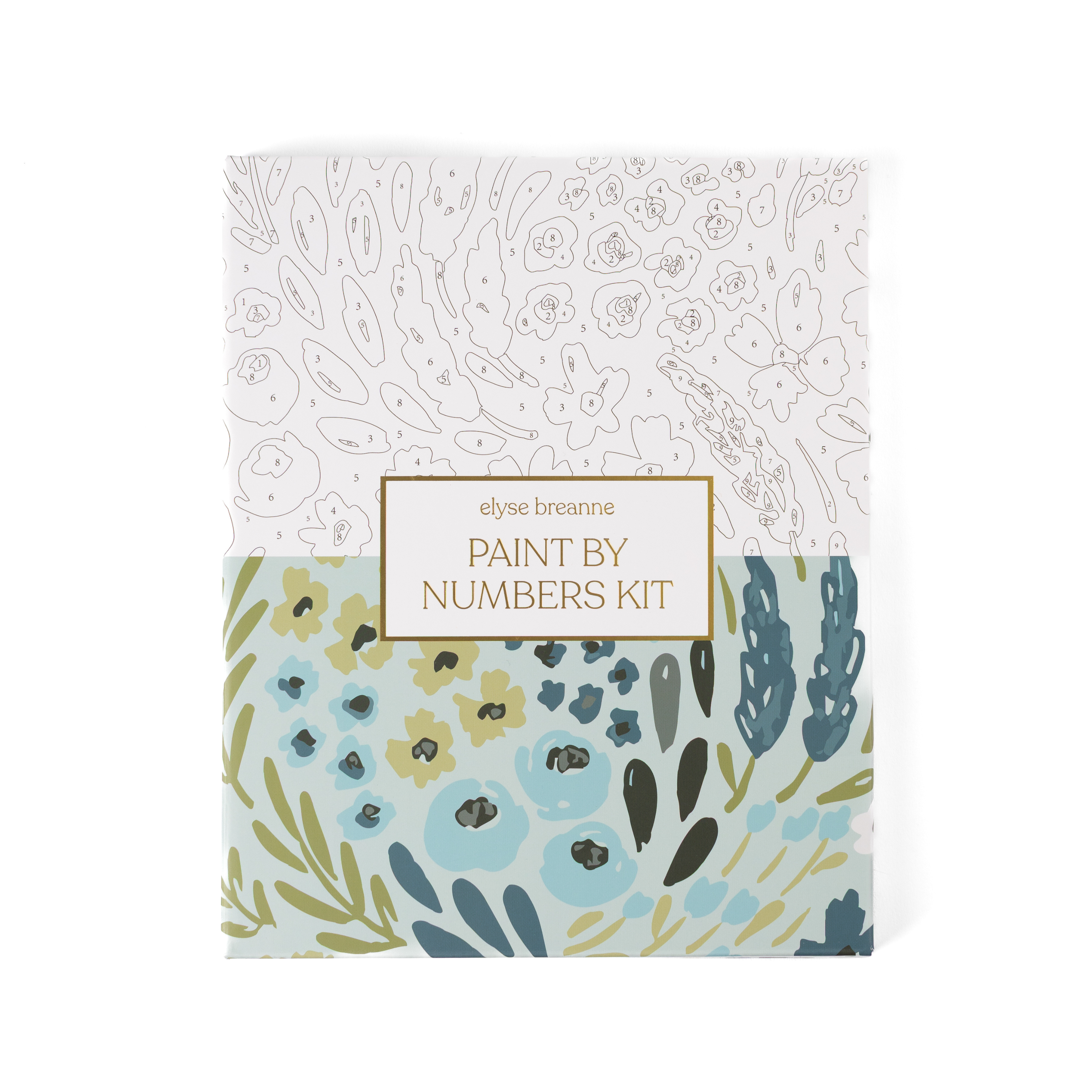 Paint By Number Kit
