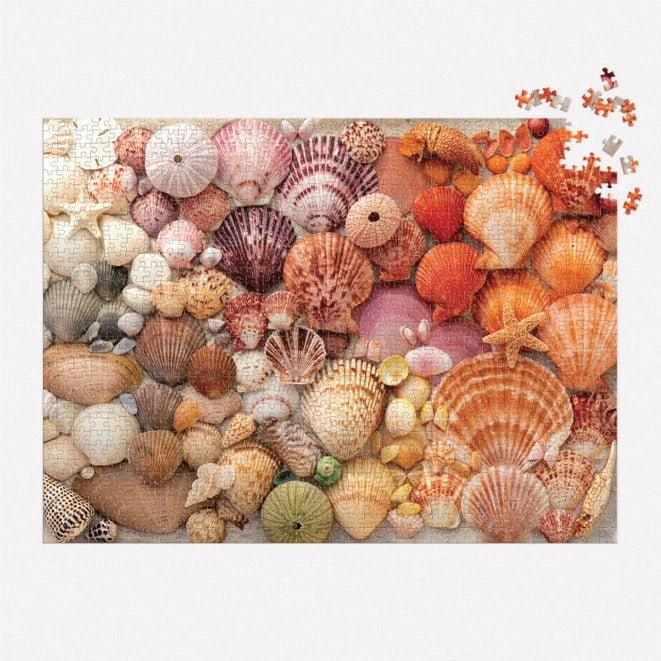 Vibrant Seashells 1000 Piece Puzzle