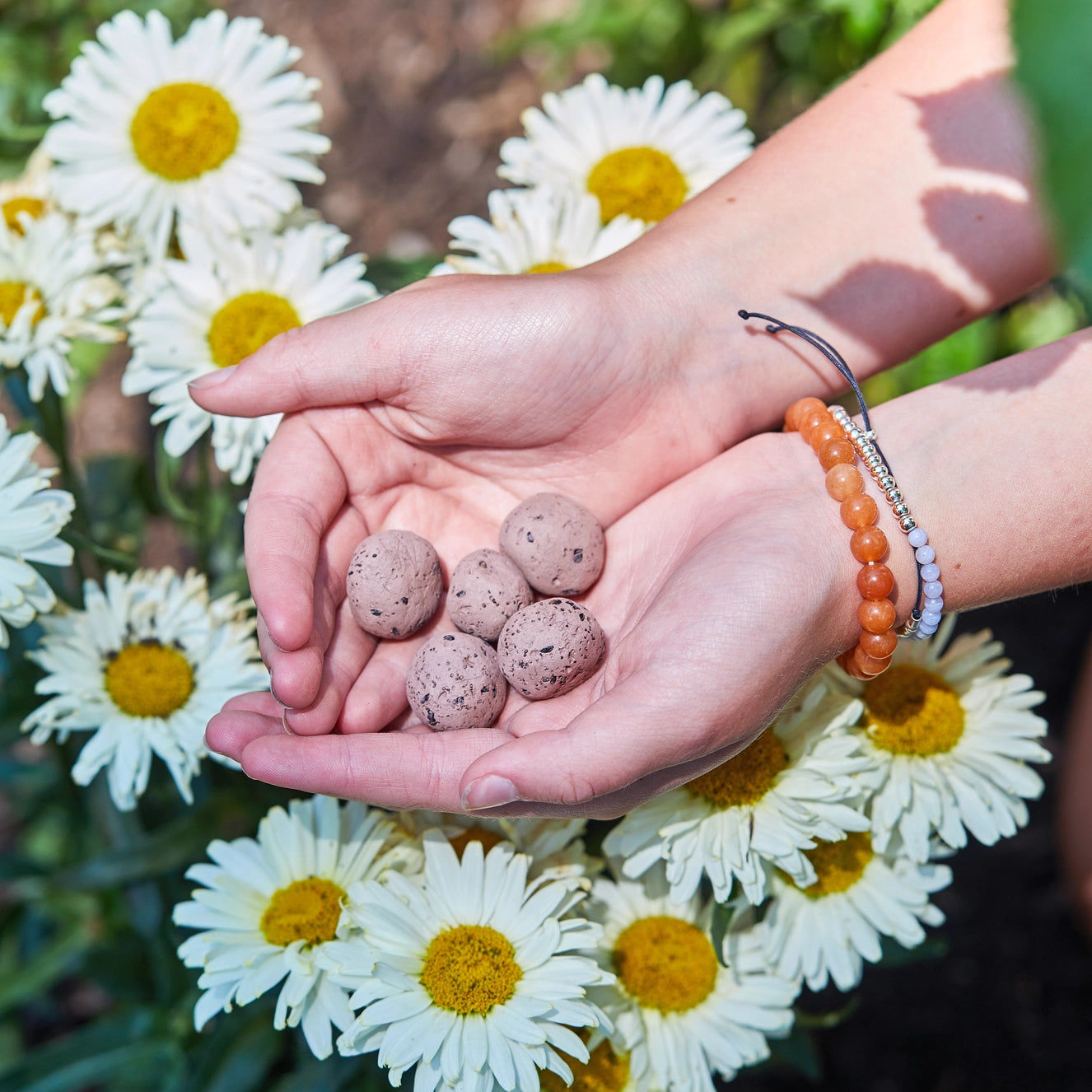 Bright Side Seed Balls - Grow Love