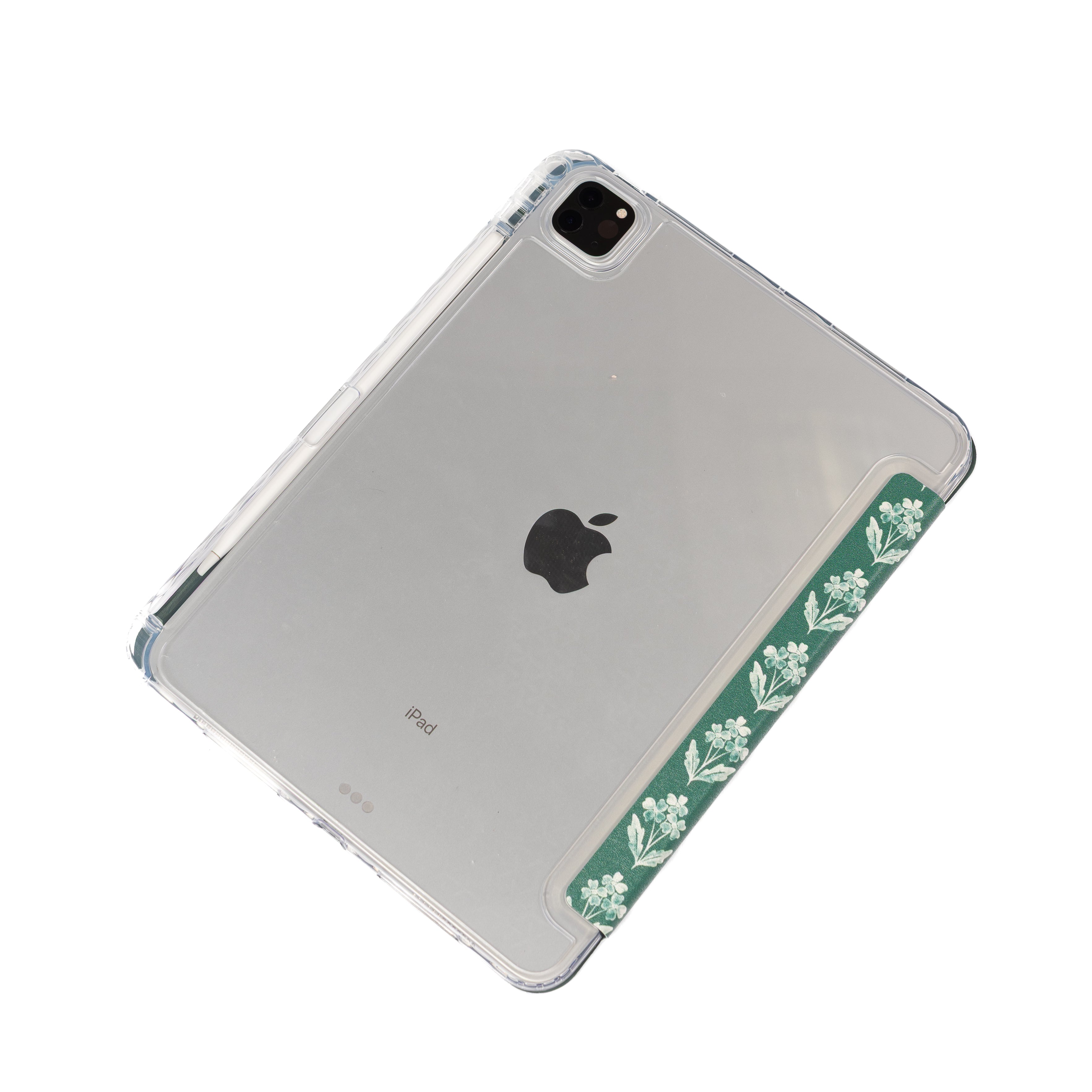 Clear Back iPad Case