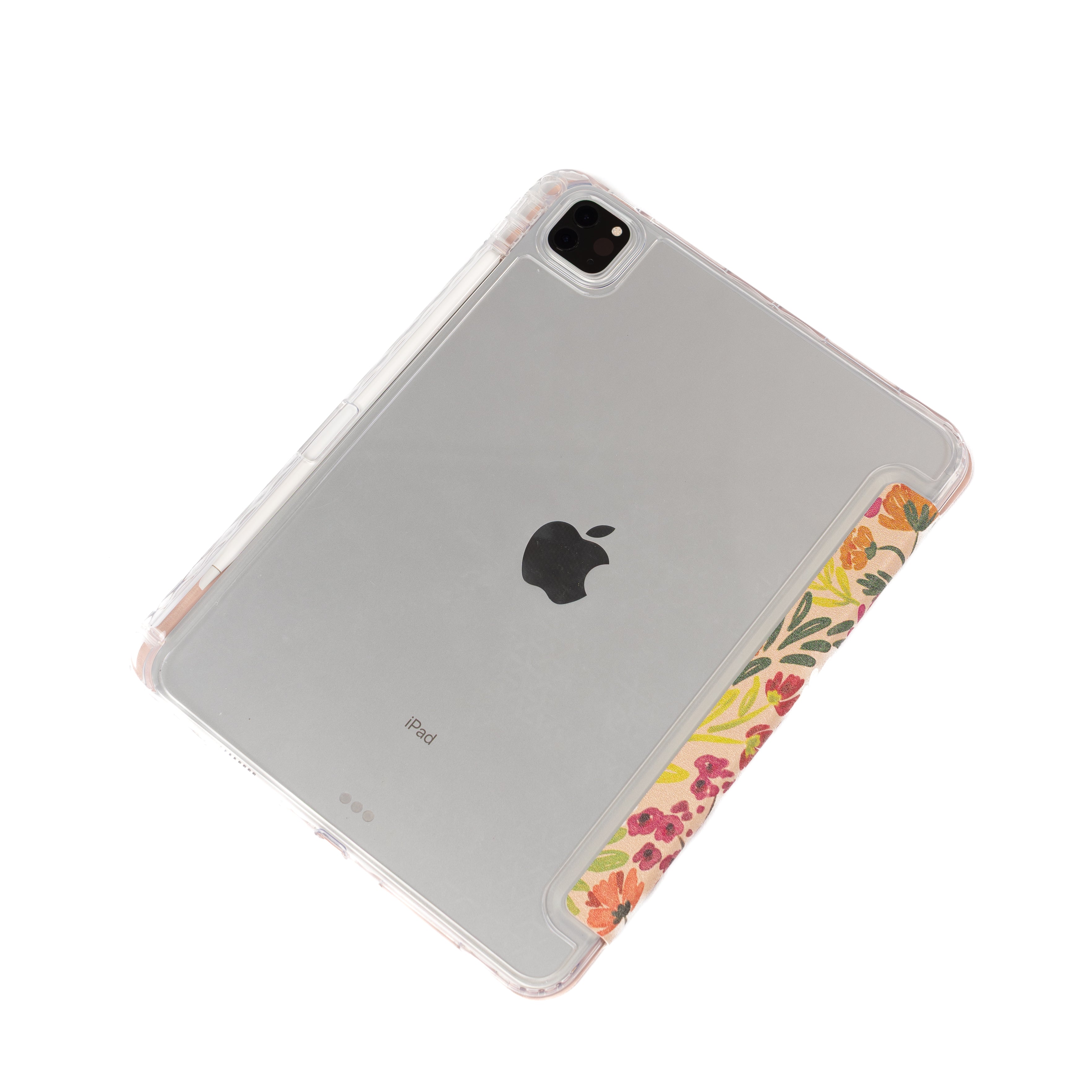Clear Back iPad Case