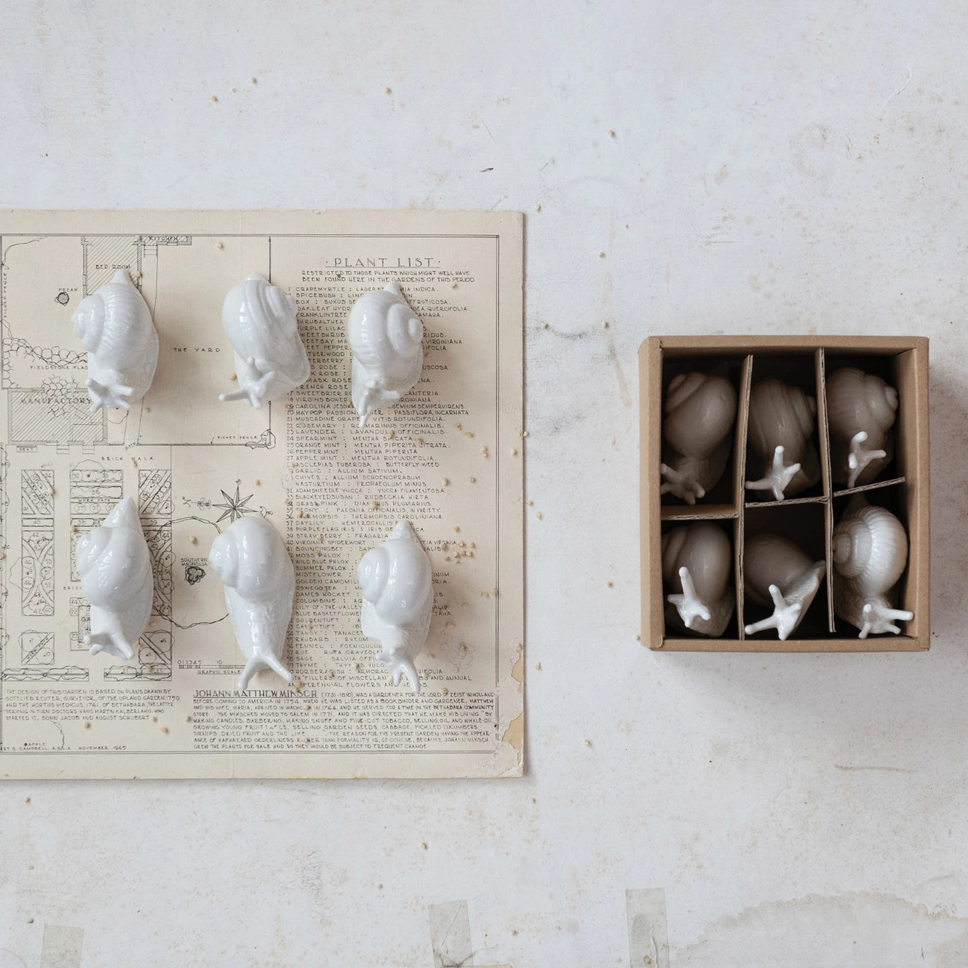 White Stoneware Snails, Boxed Set of 6