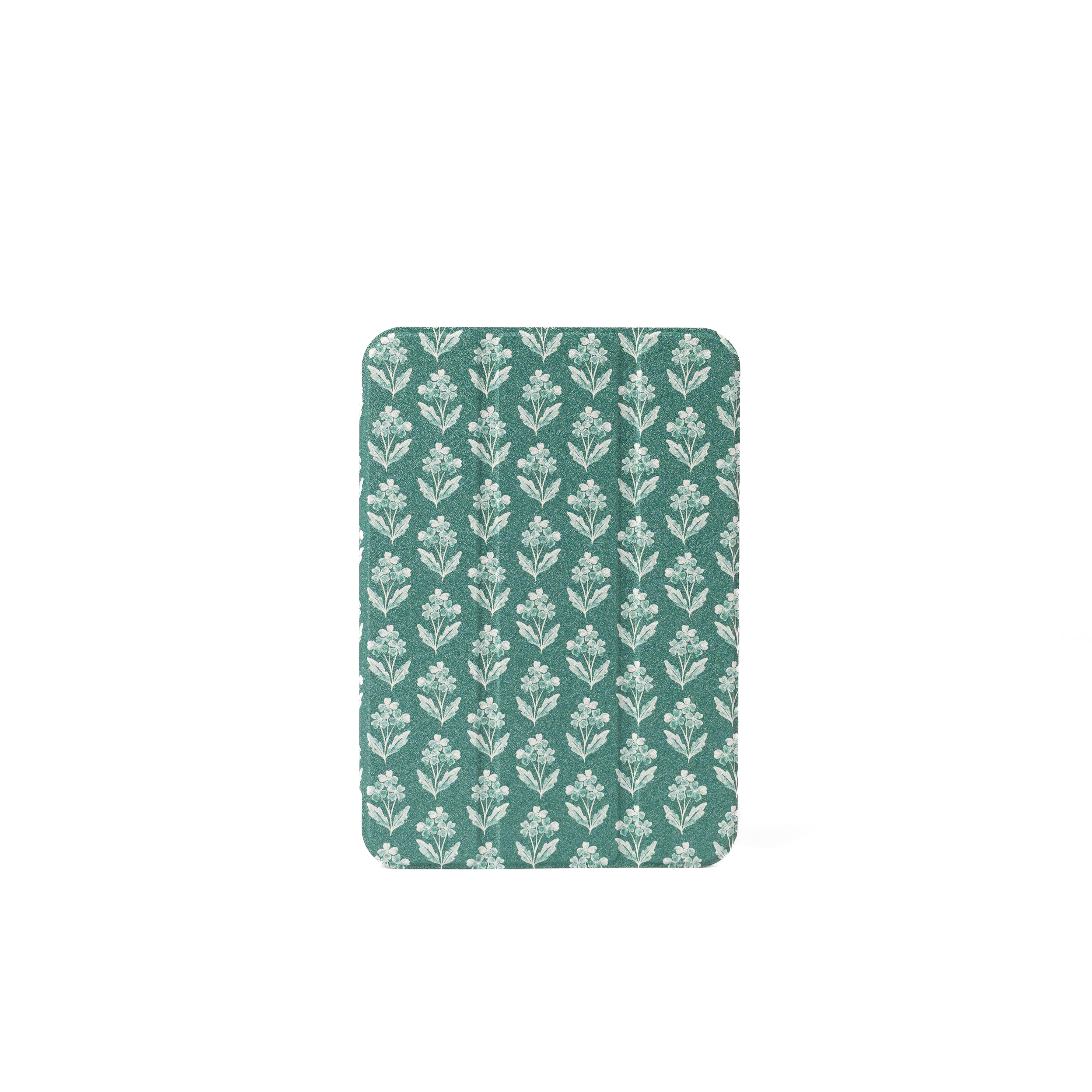 Clear Back iPad Case
