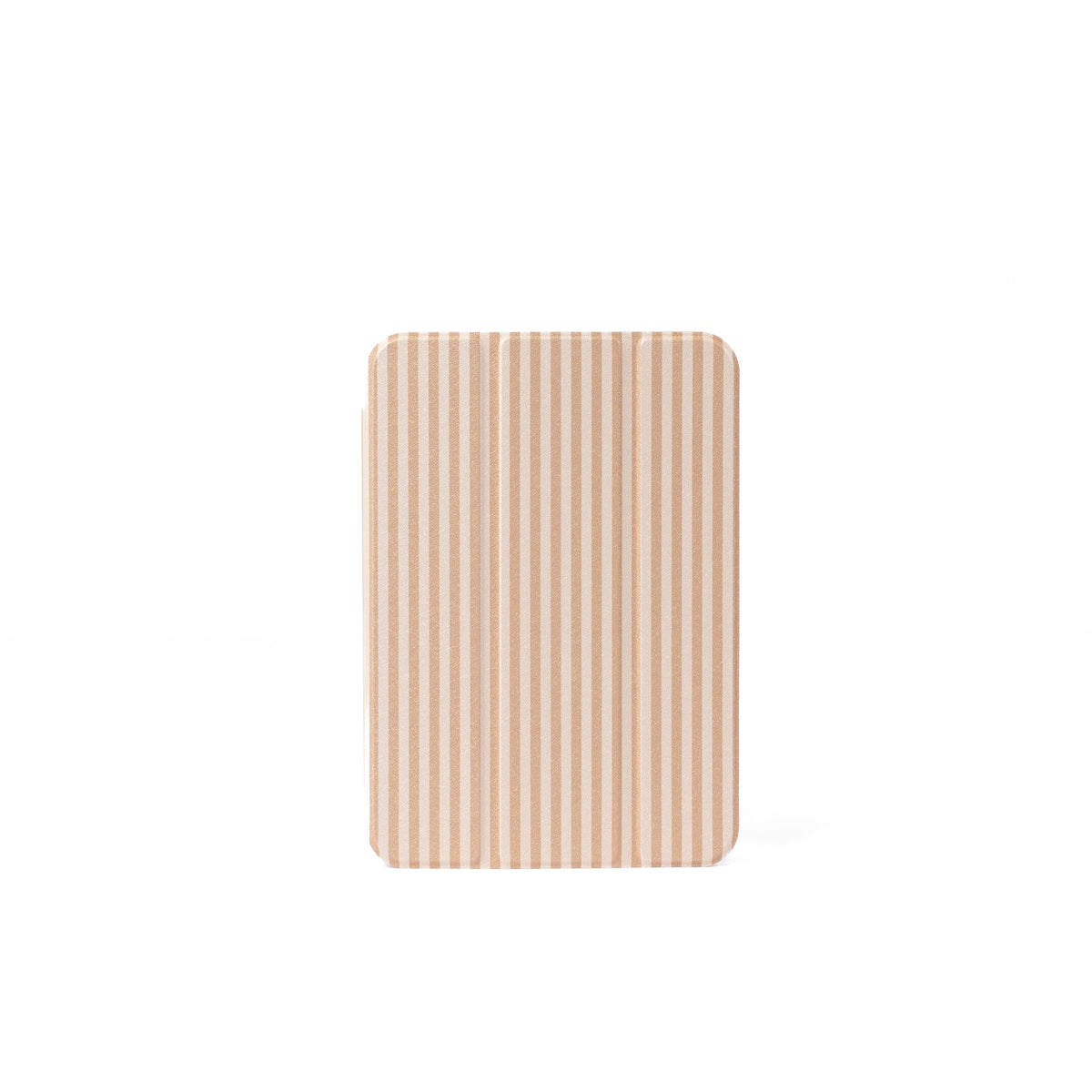 Clear Back iPad Case