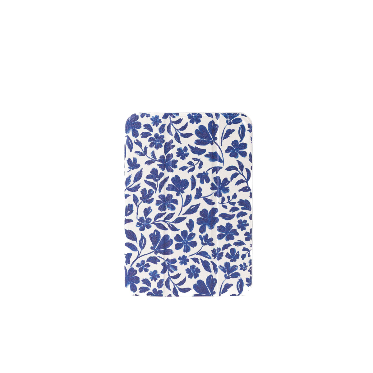 Clear Back iPad Case